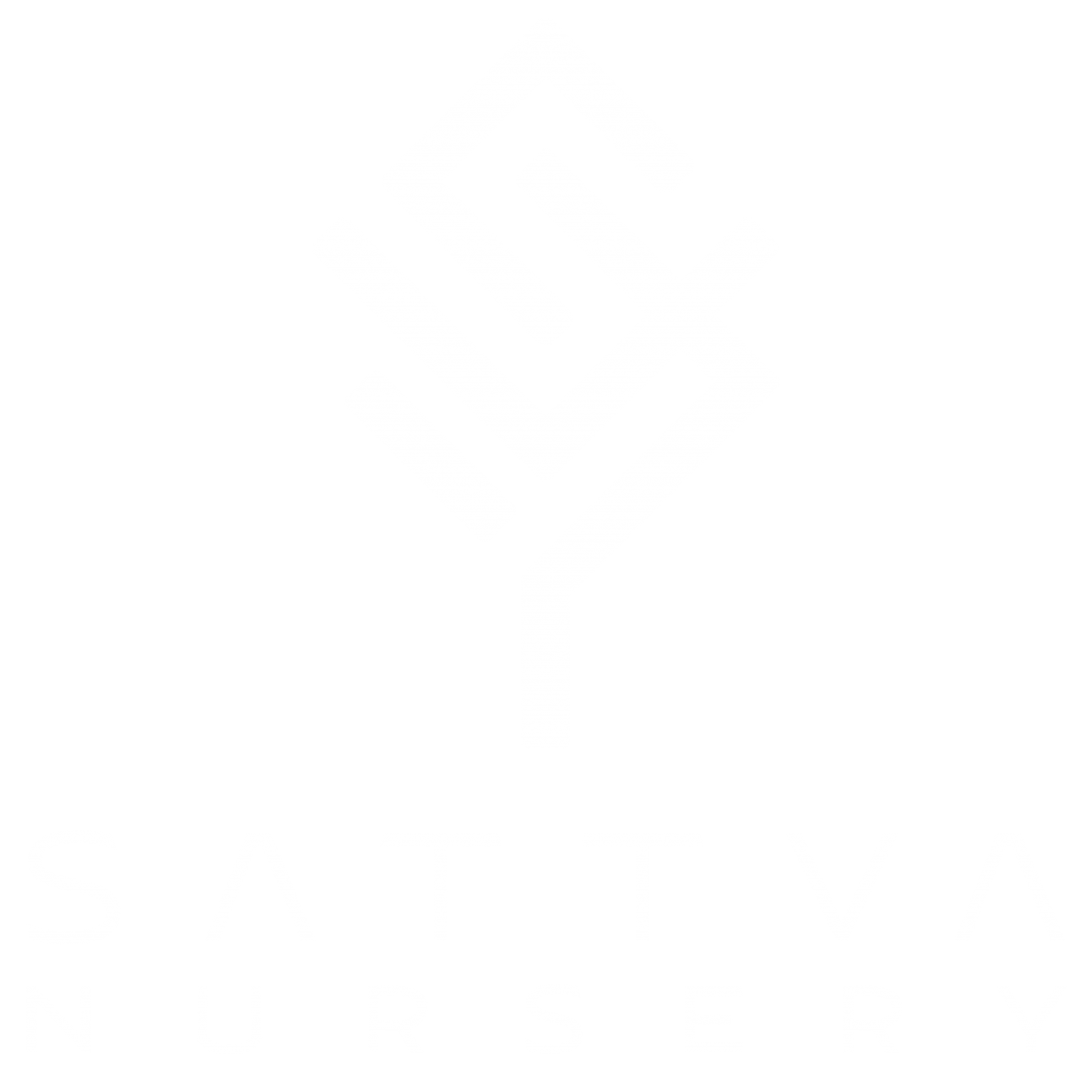 washington-navel-sattva-nursery